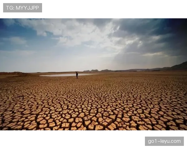 全球气候变化新报告指出未来十年面临严峻挑战，专家呼吁应对措施加快落实